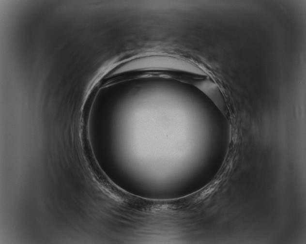 X0000052650152200507160232