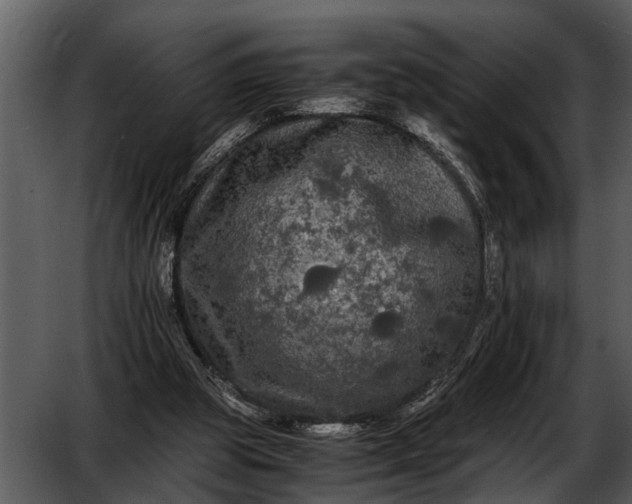 X0000052650153200507160232