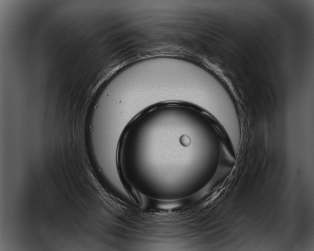 X0000052650154200507160232