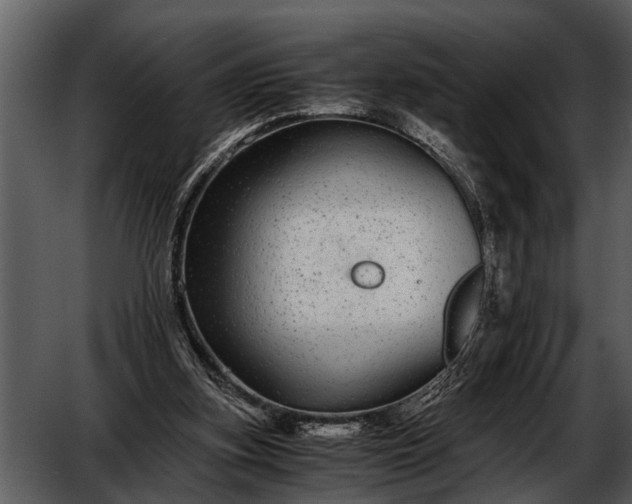 X0000052650155200507160232