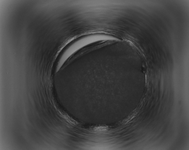 X0000052650156200507160232