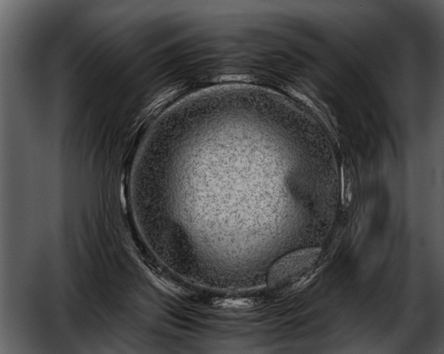 X0000052650157200507160232