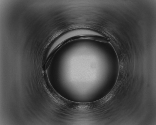 X0000052650158200507160232