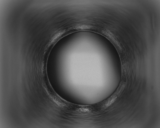 X0000052650159200507160232