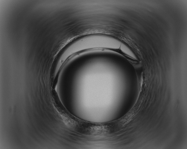 X0000052650160200507160232