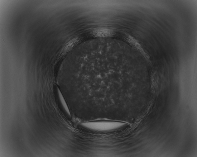 X0000052650161200507160232