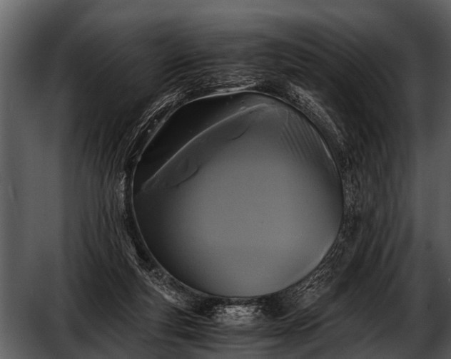 X0000052650163200507160232