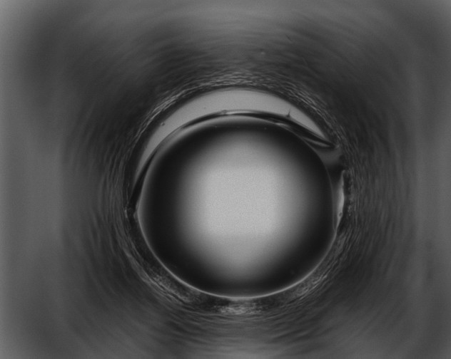 X0000052650164200507160232