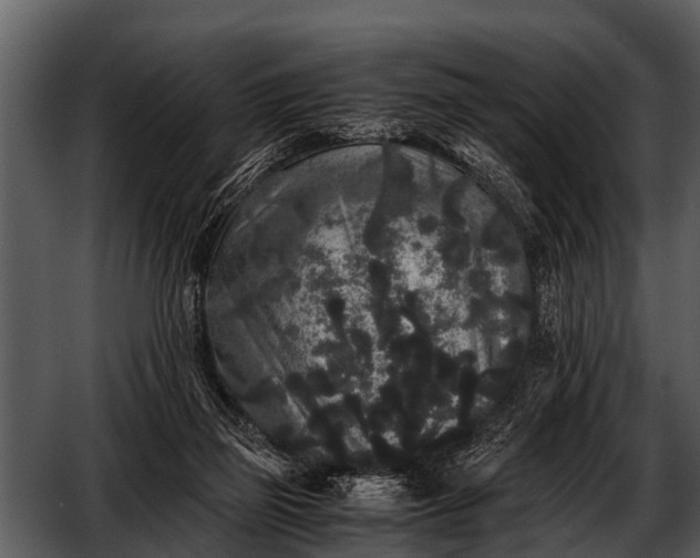 X0000052650165200507160232