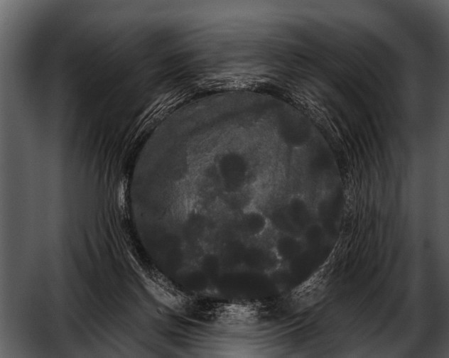 X0000052650166200507160232