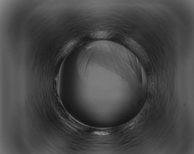 X0000052650167200507160232