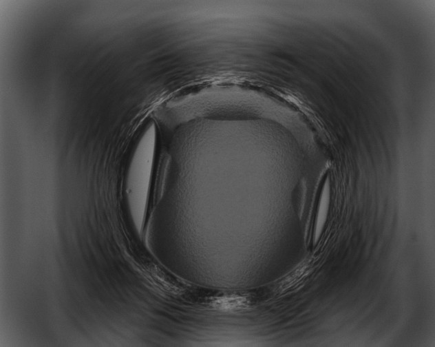 X0000052650168200507160232