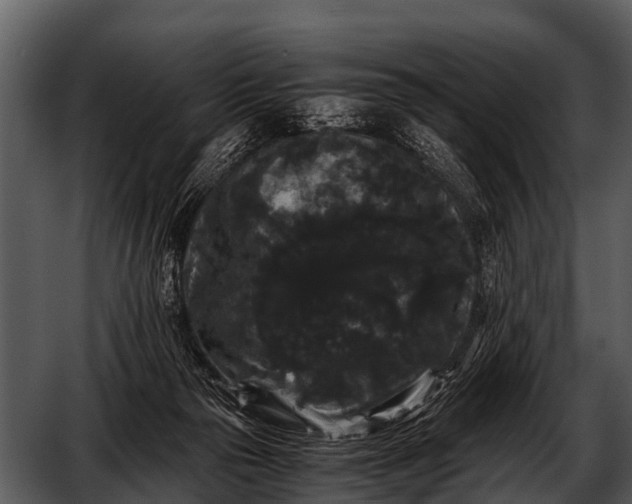 X0000052650169200507160232