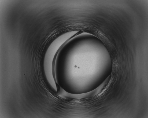 X0000052650170200507160232