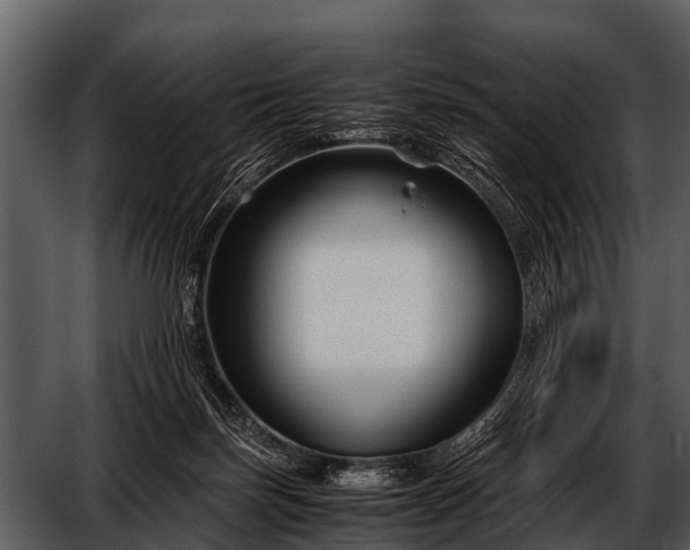 X0000052650171200507160232