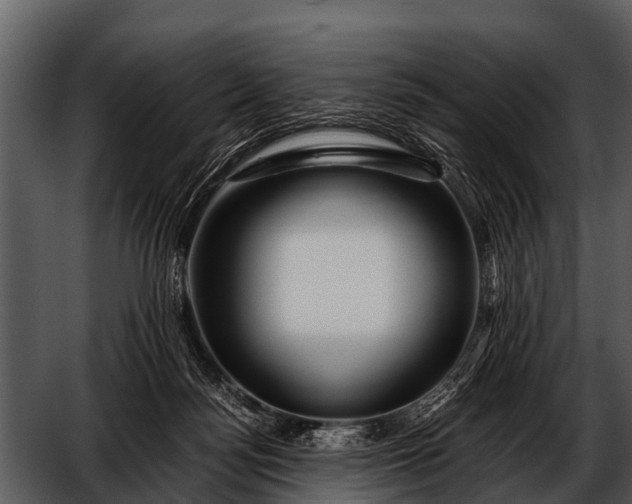 X0000052650172200507160232