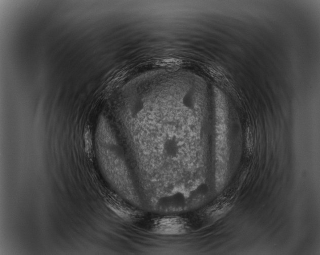 X0000052650173200507160232