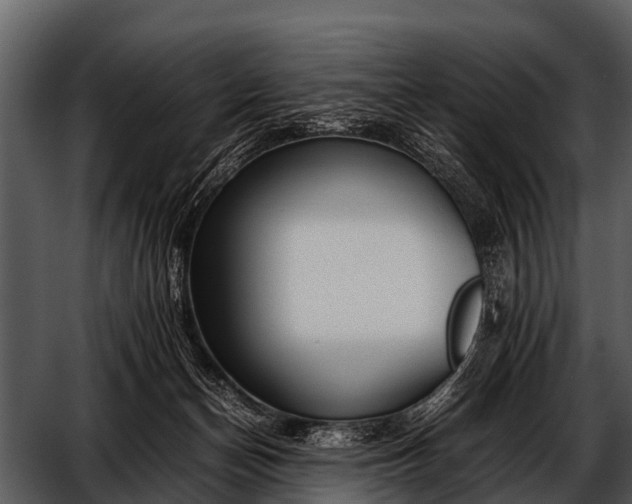 X0000052650174200507160233