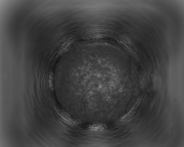 X0000052650175200507160233