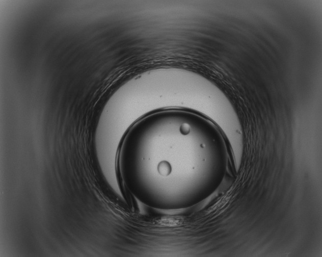 X0000052650176200507160233