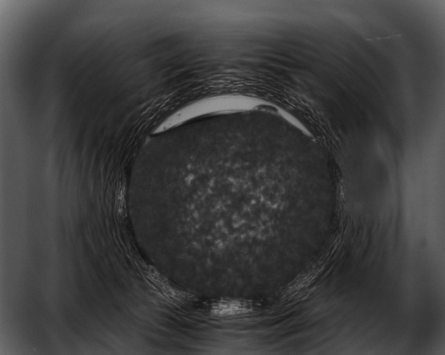 X0000052650177200507160233