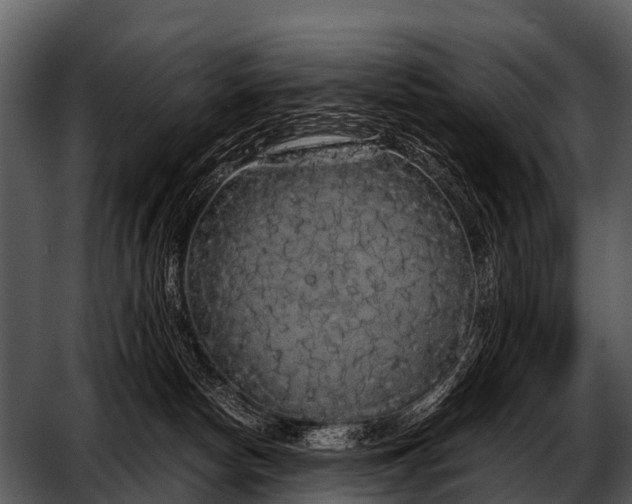 X0000052650178200507160233