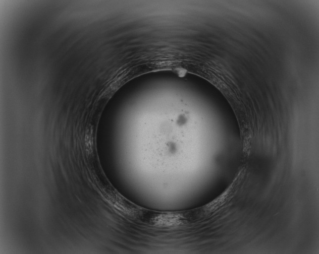 X0000052650179200507160233