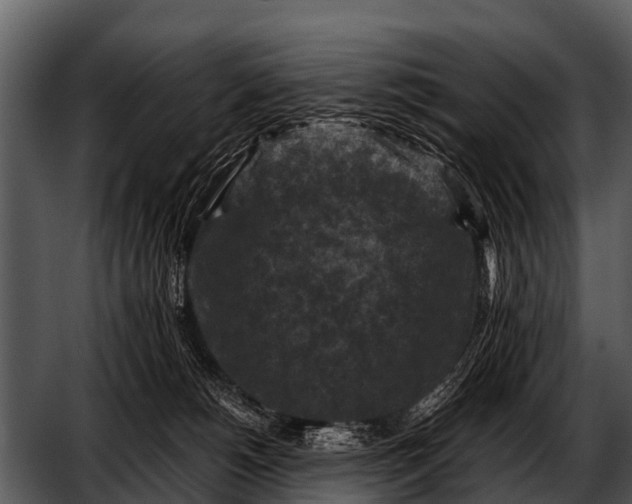 X0000052650180200507160233