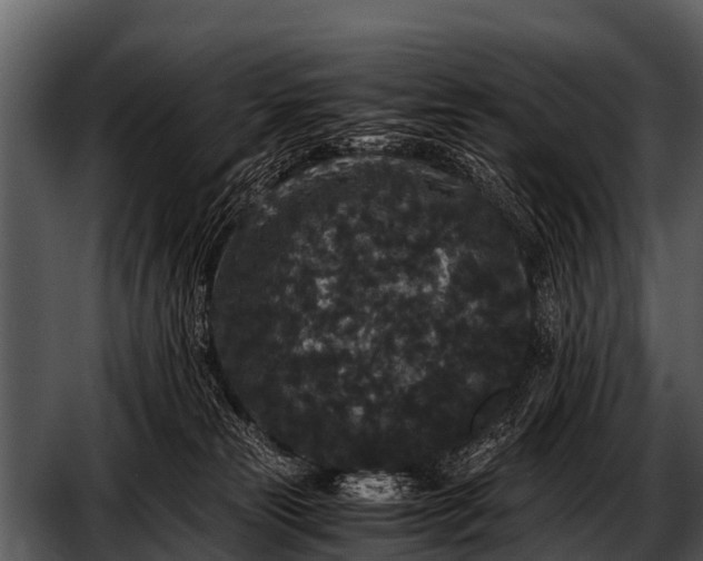 X0000052650181200507160233