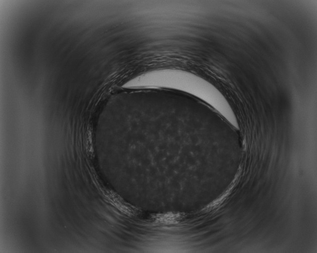 X0000052650182200507160233