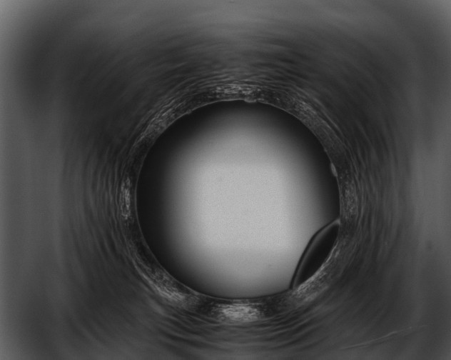 X0000052650183200507160233