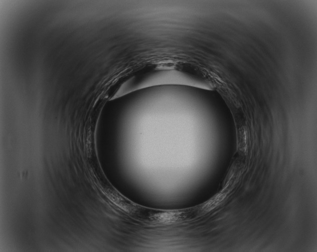 X0000052650184200507160233