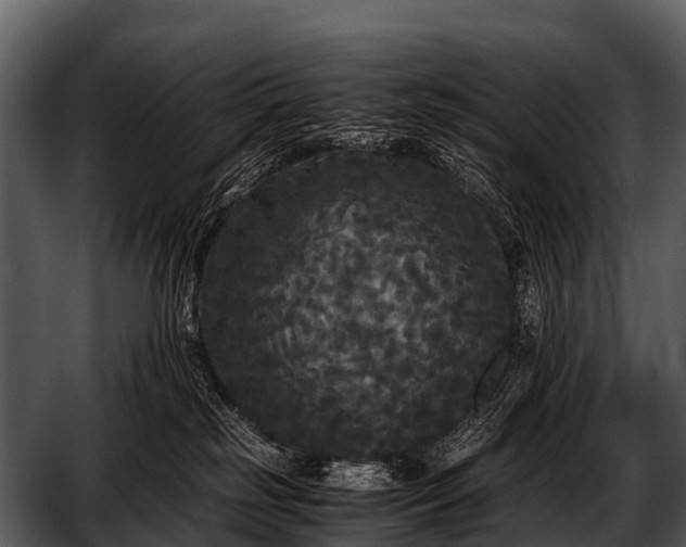 X0000052650185200507160233