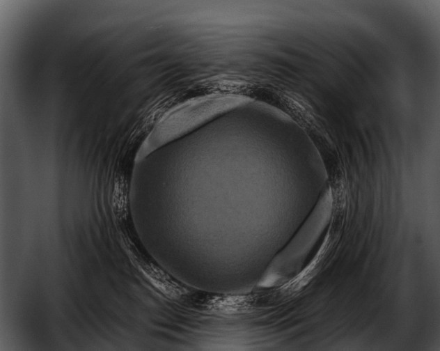 X0000052650186200507160233