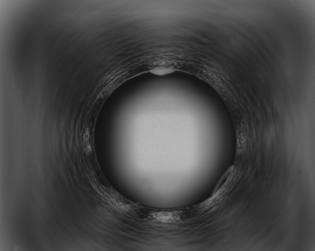 X0000052650187200507160233