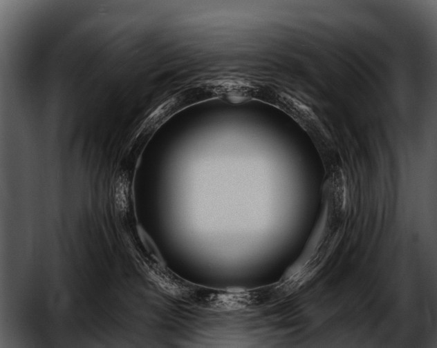 X0000052650188200507160233