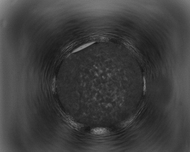 X0000052650189200507160233