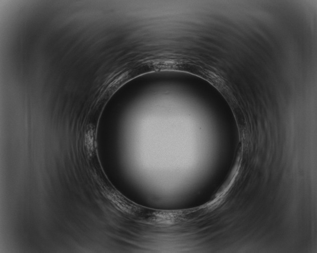 X0000052650190200507160233