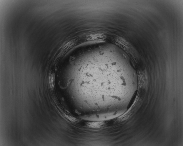 X0000052650191200507160233