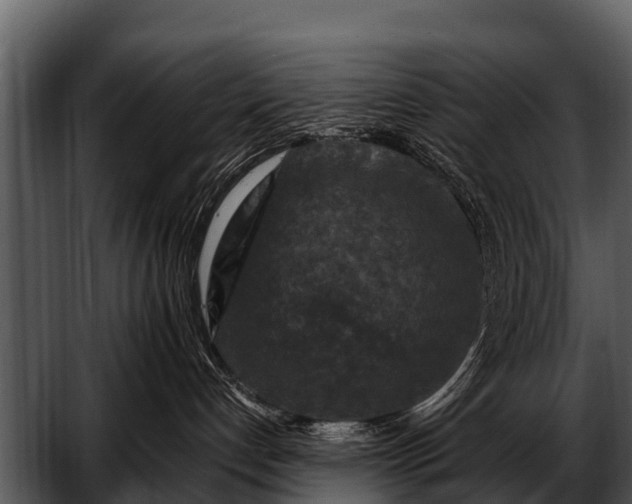 X0000052650192200507160233