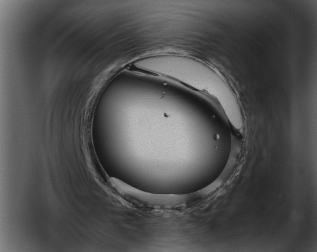 X0000052650193200507160232