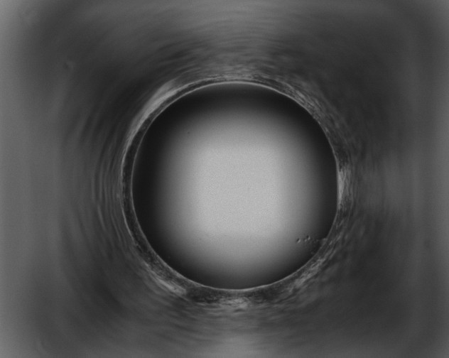 X0000052650195200507160232