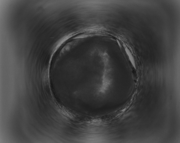 X0000052650196200507160232