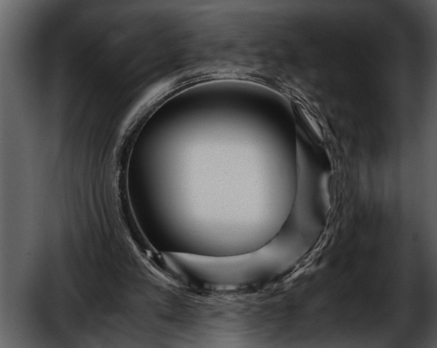 X0000052650197200507160232