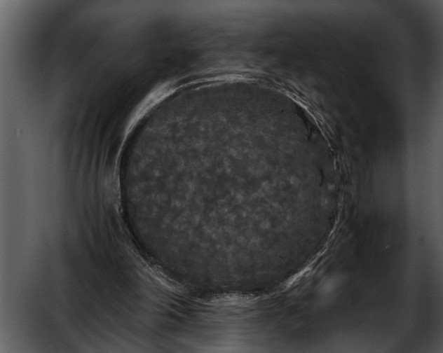 X0000052650198200507160232