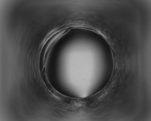 X0000052650199200507160232