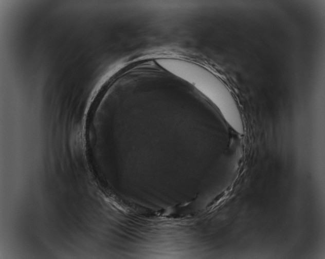 X0000052650200200507160232