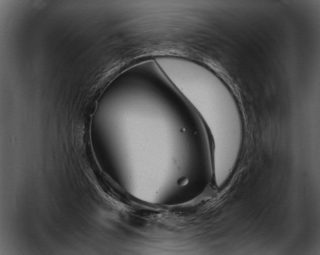 X0000052650201200507160232