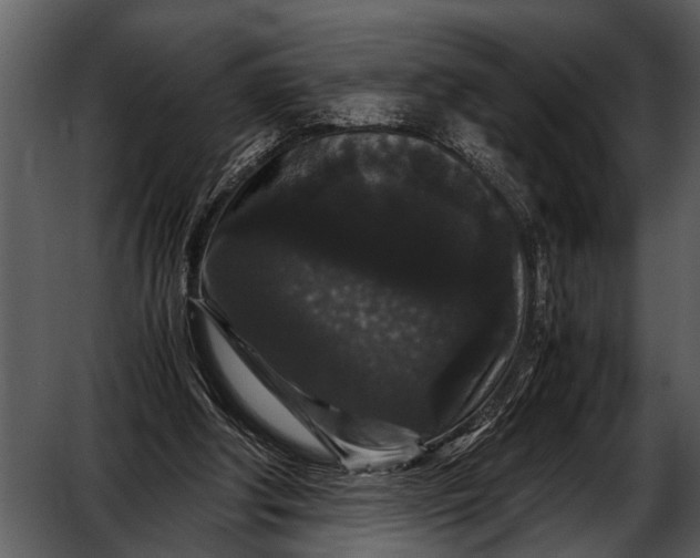 X0000052650202200507160232