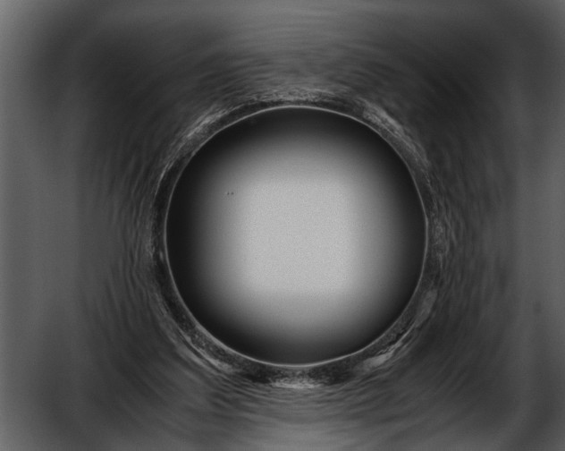 X0000052650203200507160232